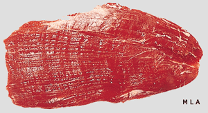 06 - Flank-steak.gif